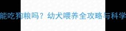 1个月泰迪能吃狗粮吗幼犬喂养全攻略与科学喂养指南