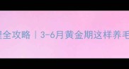 比熊犬毛发护理全攻略3-6月黄金期这样养毛茸茸像棉花糖