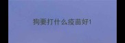 狗要打什么疫苗好
