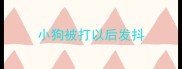 小狗被打以后发抖