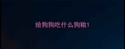 给狗狗吃什么狗粮
