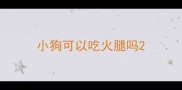 小狗可以吃火腿吗