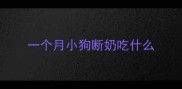 一个月小狗断奶吃什么