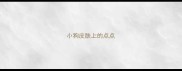 小狗皮肤上的点点