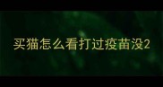 买猫怎么看打过疫苗没