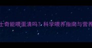 成年哈士奇能喂蛋清吗科学喂养指南与营养误区全