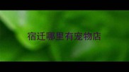 宿迁哪里有宠物店