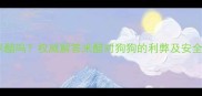 狗狗能吃米醋吗权威解答米醋对狗狗的利弊及安全食用指南
