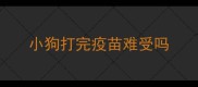 小狗打完疫苗难受吗