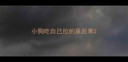 小狗吃自己拉的屎后果