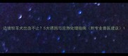 边境牧羊犬出血不止5大诱因与应急处理指南附专业兽医建议