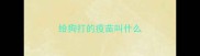 给狗打的疫苗叫什么