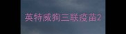 英特威狗三联疫苗
