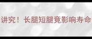 小拉布拉多腿长短有讲究长腿短腿竟影响寿命科学饲养指南来了