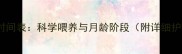猫咪成长时间表科学喂养与月龄阶段附详细护理指南