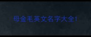 母金毛英文名字大全