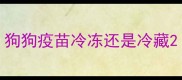 狗狗疫苗冷冻还是冷藏