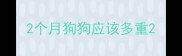 2个月狗狗应该多重