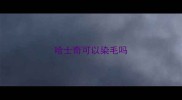 哈士奇可以染毛吗