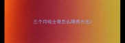 三个月哈士奇怎么喂养方法