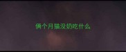 俩个月猫没奶吃什么