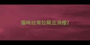 猫咪经常拉稀且消瘦