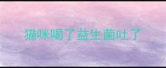 猫咪喝了益生菌吐了