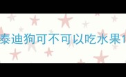 泰迪狗可不可以吃水果