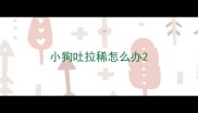 小狗吐拉稀怎么办