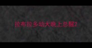 拉布拉多幼犬晚上总醒