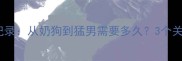 哈士奇成长全记录从奶狗到猛男需要多久3个关键期别错过