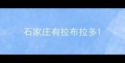 石家庄有拉布拉多