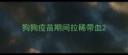 狗狗疫苗期间拉稀带血