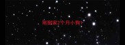 刚到家2个月小狗