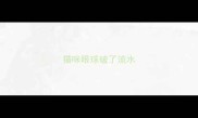 猫咪眼球破了流水