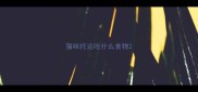 猫咪托运吃什么食物