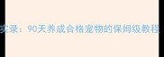 拉布拉多拆家实录90天养成合格宠物的保姆级教程附训练GIF