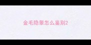 金毛隐睾怎么鉴别
