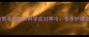 哈士奇剪毛后如何科学应对寒冷冬季护理全攻略