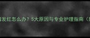 边牧幼犬眼睛发红怎么办5大原因与专业护理指南附急救步骤