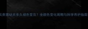 灰贵宾幼犬多久褪色变灰全颜色变化周期与科学养护指南