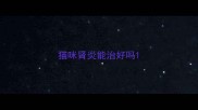猫咪肾炎能治好吗