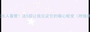 独居猫咪20天无人看管这5招让我见证它的暖心蜕变附独居猫必备清单