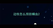 边牧怎么预防螨虫
