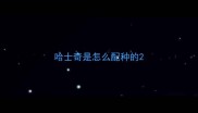 哈士奇是怎么配种的