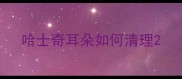 哈士奇耳朵如何清理