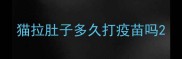 猫拉肚子多久打疫苗吗