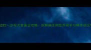 边牧一岁母犬食量全攻略拆解换牙期营养需求与喂养误区