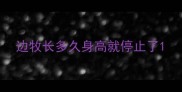 边牧长多久身高就停止了