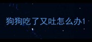 狗狗吃了又吐怎么办